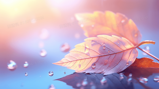 ——适合写师长或书籍带来的视野开拓，强调精神引领。