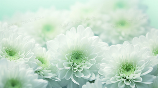 福斯特案件中的心理博弈:凶手与侦探的无声对决