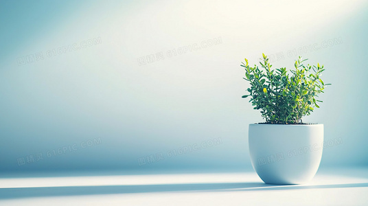 生肖谜题:乘龙快婿究竟指哪一肖?