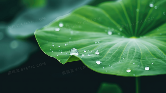 土象的理性与风象的随性：恋爱综艺里那些星座反差萌