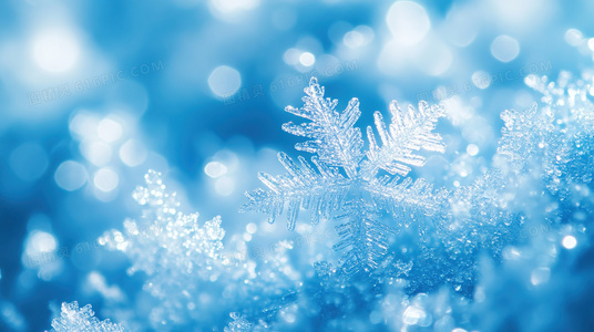 谁是最强警花?辣警霸王花演员表深度解析,角色背景一览