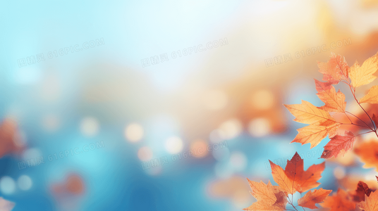 科技与正义：青蜂侠中的超级座驾“黑美人”