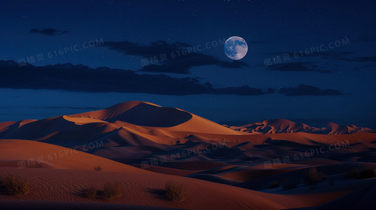 涨潮海岸:潮水边缘的家族秘密与救赎之旅