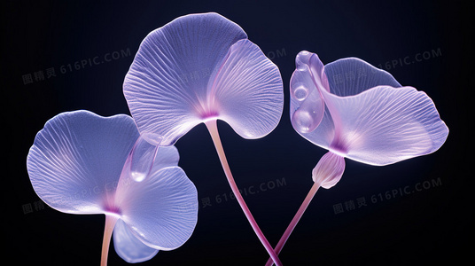 通职者：当“万金油”职业成为超能力