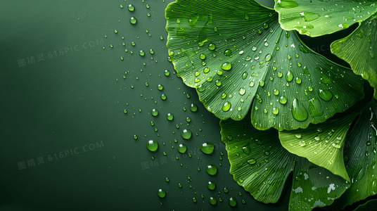 导演视角：海岸情深的拍摄地选择与视觉叙事手法