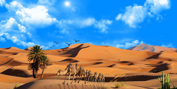 深度解读预谋：隐藏在剧情背后的关键线索