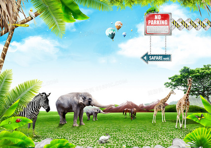 小熊的夏天：一本让孩子爱上阅读的温暖绘本