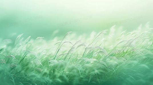 探寻古典舞“凤凰归巢”的肢体语言