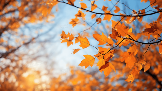 超能动物小队集结!大展猴威宝贝智多星开启合家欢冒险新模式