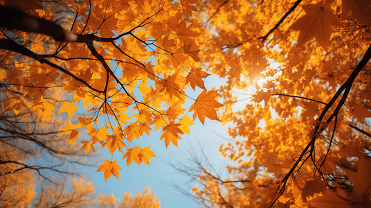 漂流图书馆的午夜客人：那些在书页间寻找答案的人